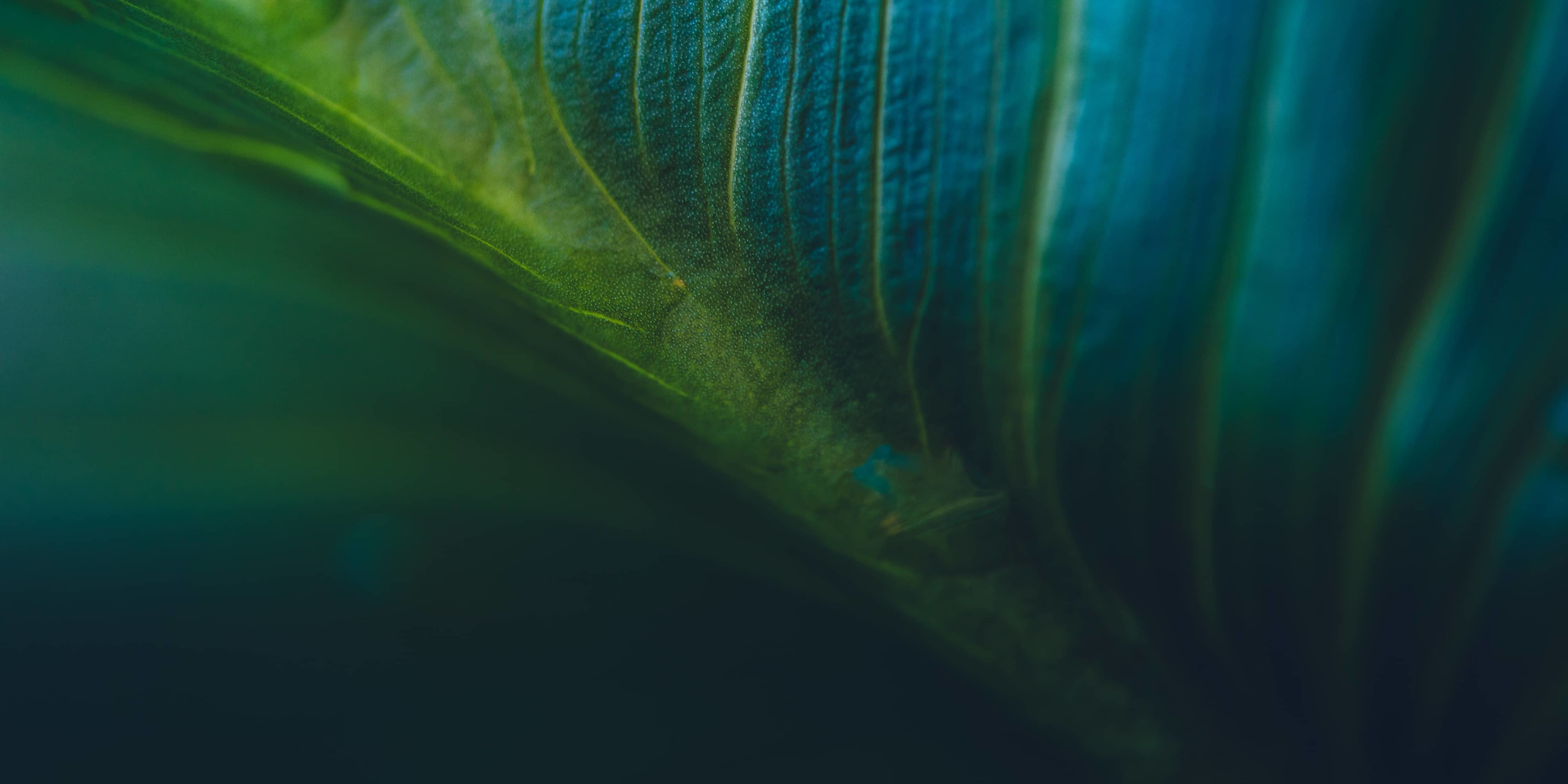 Sustainable investing