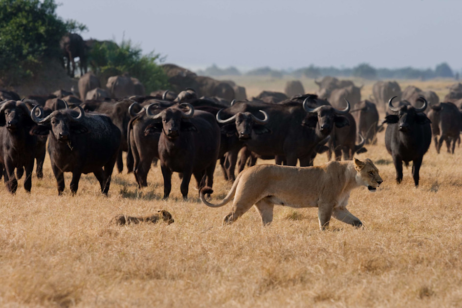 Defensive Equities Robeco Global