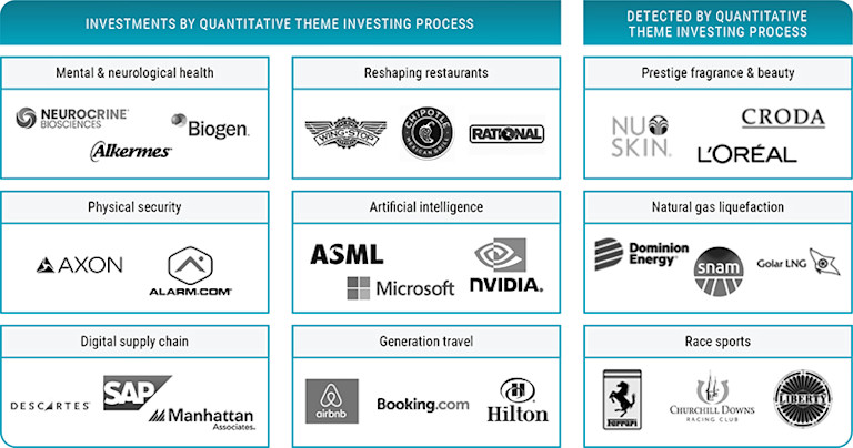 The benefits of ‘quantamental’ thematic investing | Robeco Global