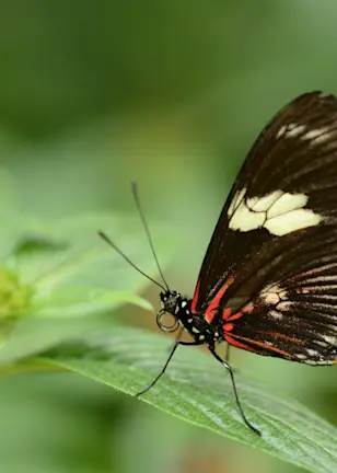 Engagement themes 2025: from deforestation to diversity