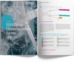global-climate-investing-survey-2025-book-spread-483x406.png