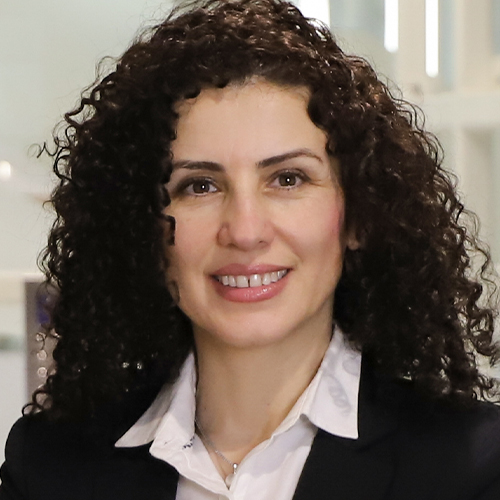  Farahnaz Pashaei Kamali  - Cluster Head - Energy & Utilities 