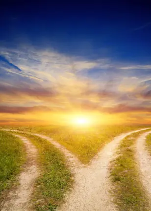 Your journey to net zero