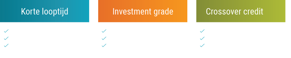 opportunity-credit-investing-which-strategy-nl.png