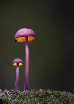 量化研究:市值越小,潜力越大?