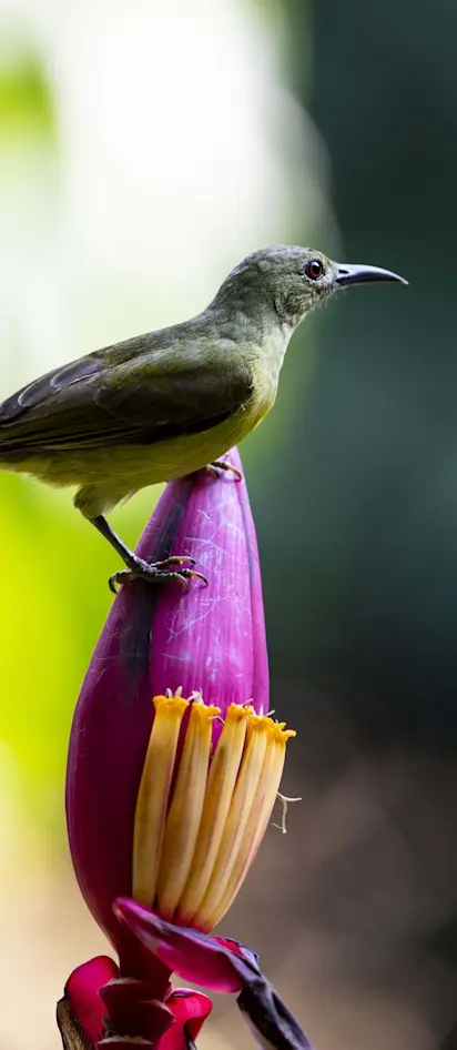 Sustainable investing | Robeco USA