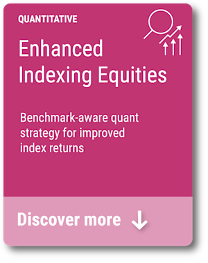 Enhanced Indexing Equities