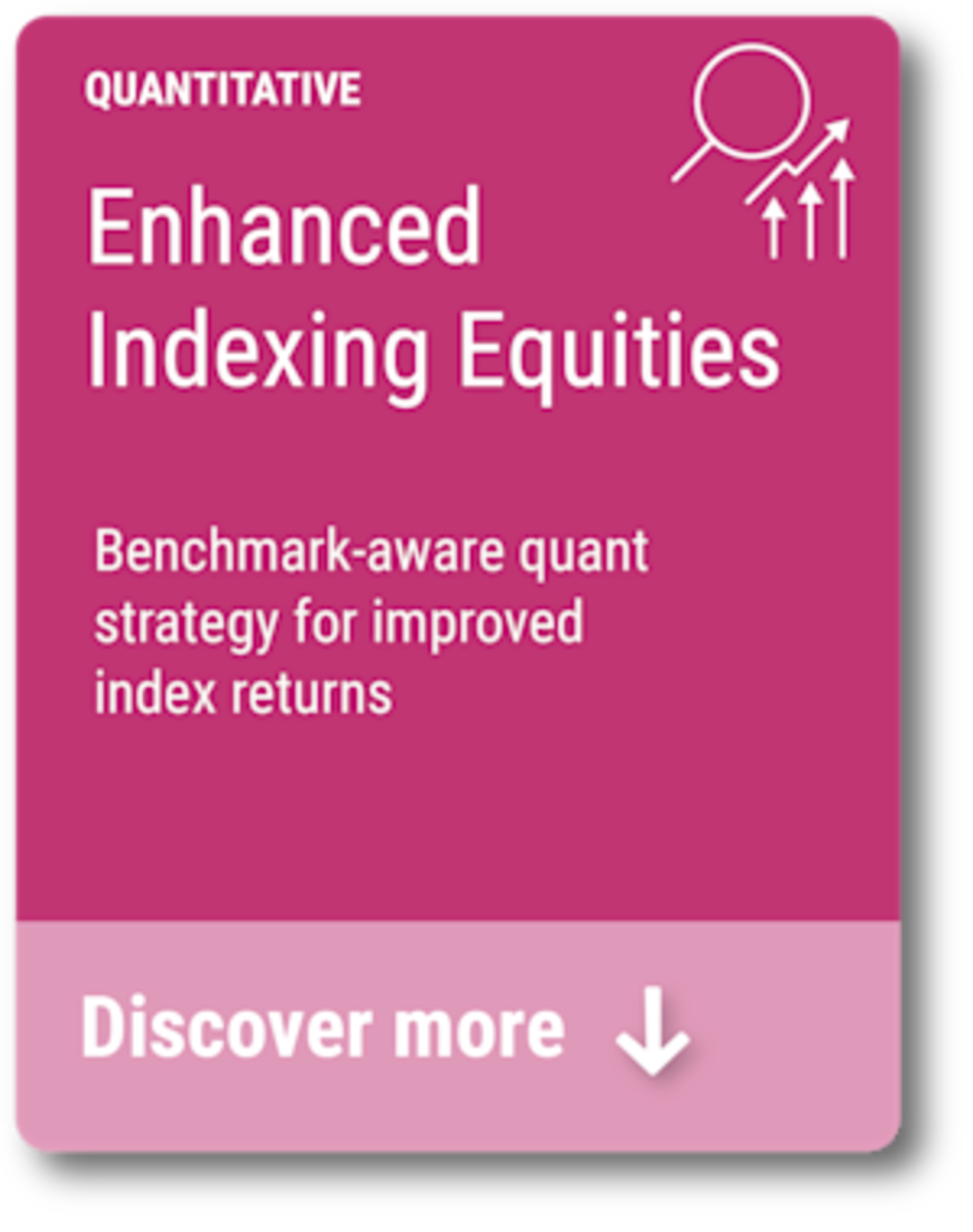 Enhanced Indexing Equities