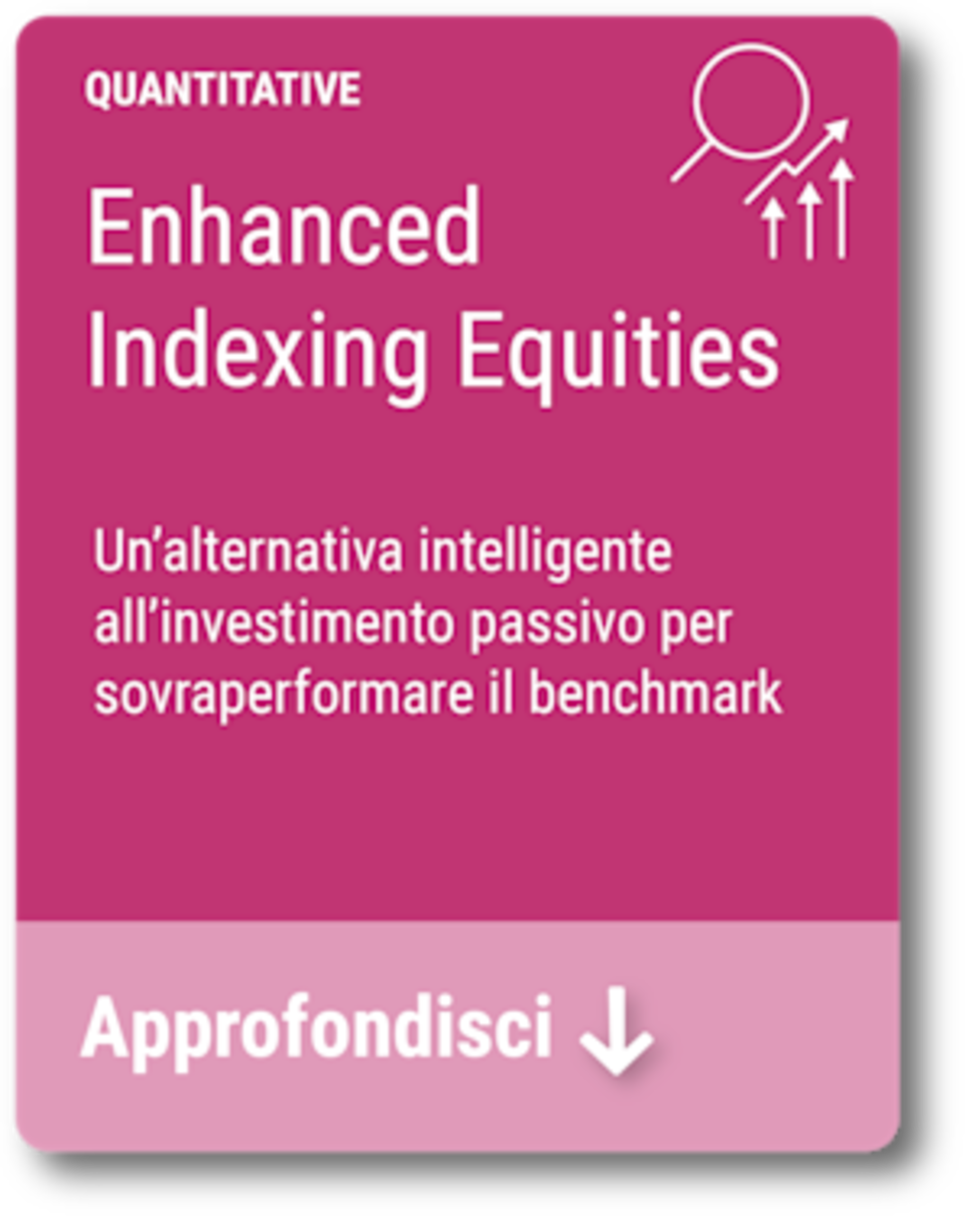 Enhanced Indexing Equities