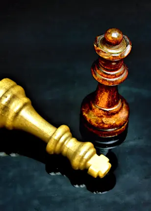 SI Debate: Stewardship is dead, long live stewardship!