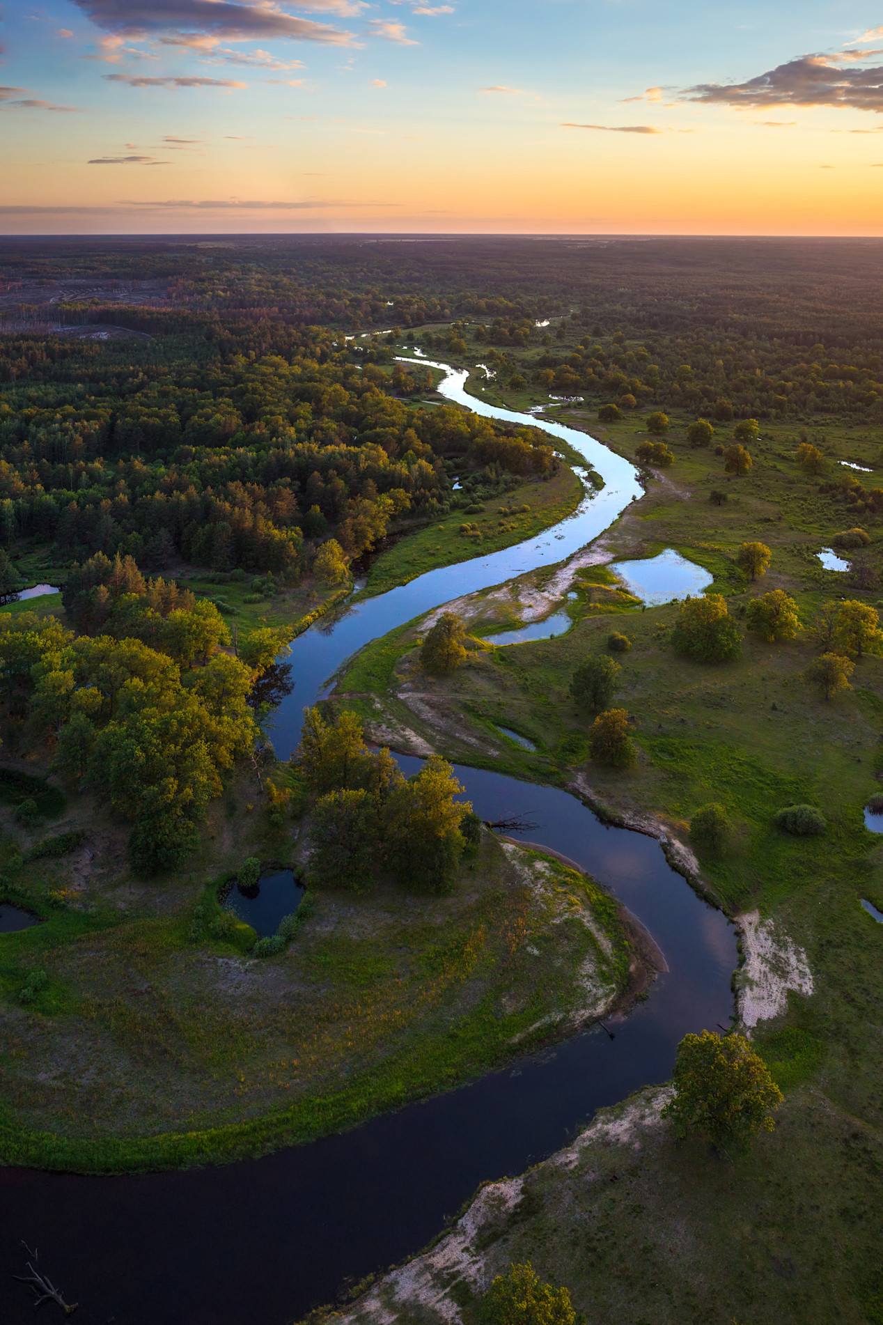 The quest for alpha | Robeco Global