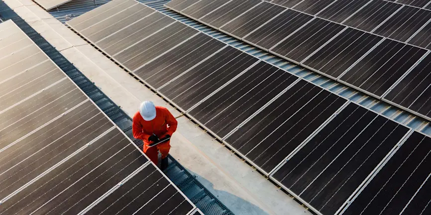 Climate leaders outperform the laggards as solutions firms struggle