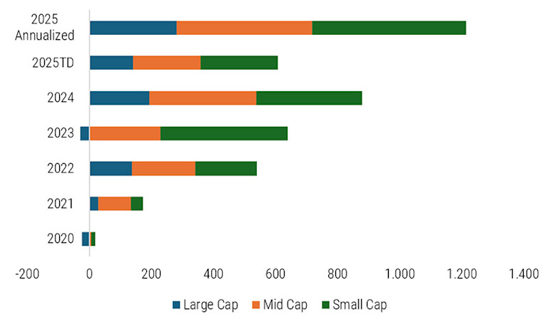 India: The ascent of small and mid-cap stocks | Robeco Global
