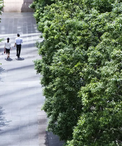 Cero emisiones netas para 2050