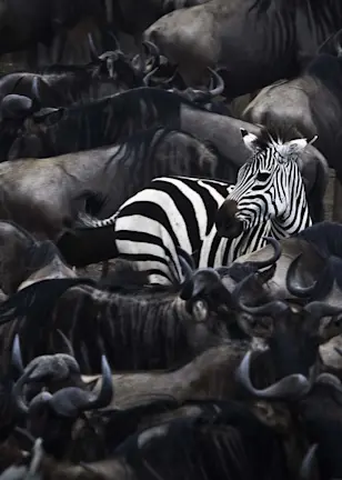 What does it take to excel in credit investing?