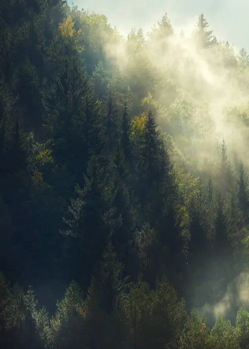 Climat et biodiversité