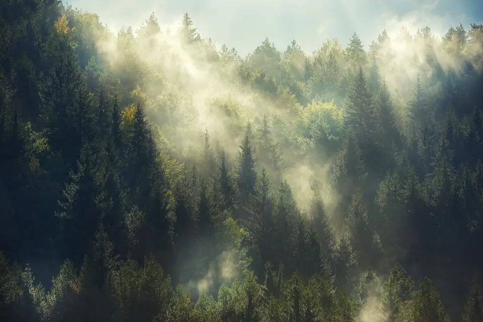 Leveraging a five-step proprietary process to mitigate greenwashing while creating a positive impact