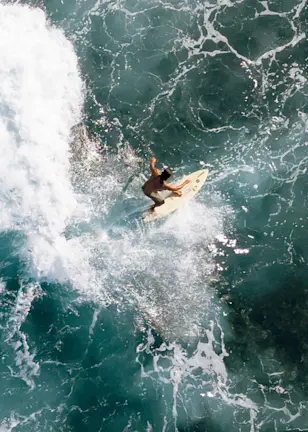 Tariffs turmoil: what’s next for investors?