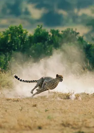 Quant chart: Outsmarting the crowd during index changes