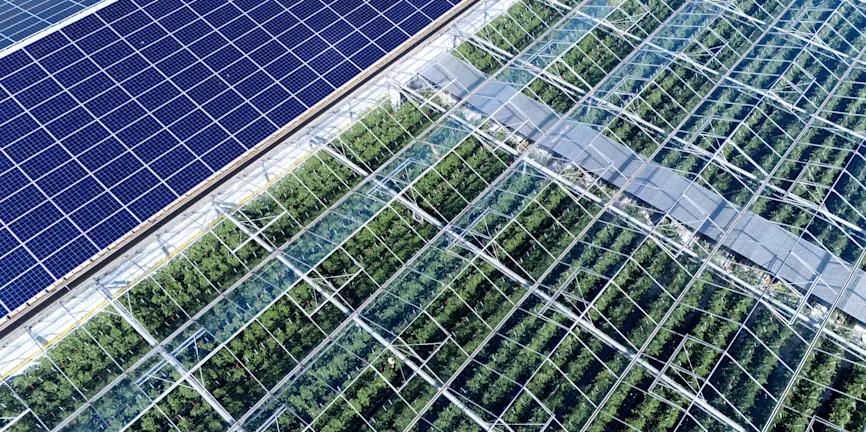 Robeco’s approach to impact investing in public markets