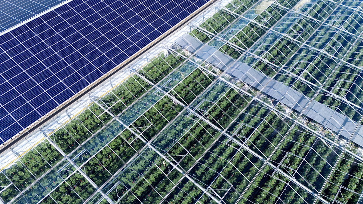 Robeco’s approach to impact investing in public markets | Robeco UK