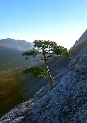 8 out of 9: Conservative Equities scores