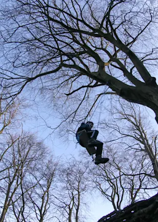 量化研究:如何监测行业板块情绪