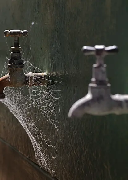 The share buyback’s rise sees the dividend’s demise