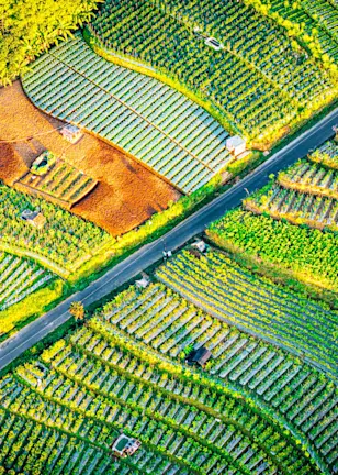 Engagement to combat global warming leads Q2 Active Ownership report