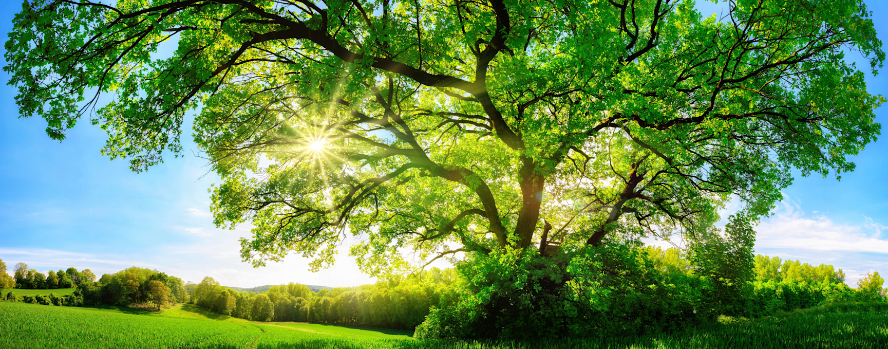 Robeco SDG Framework: da una nicchia al mainstream | Robeco Italia