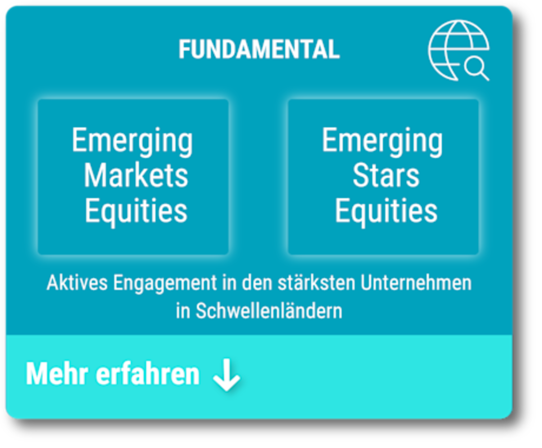 Schwellenländer - Fundamentale Analyse (Investieren)