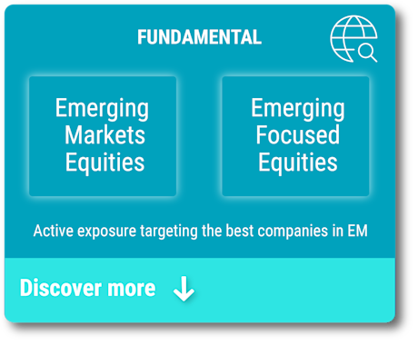 Emerging markets - Fundamental investing