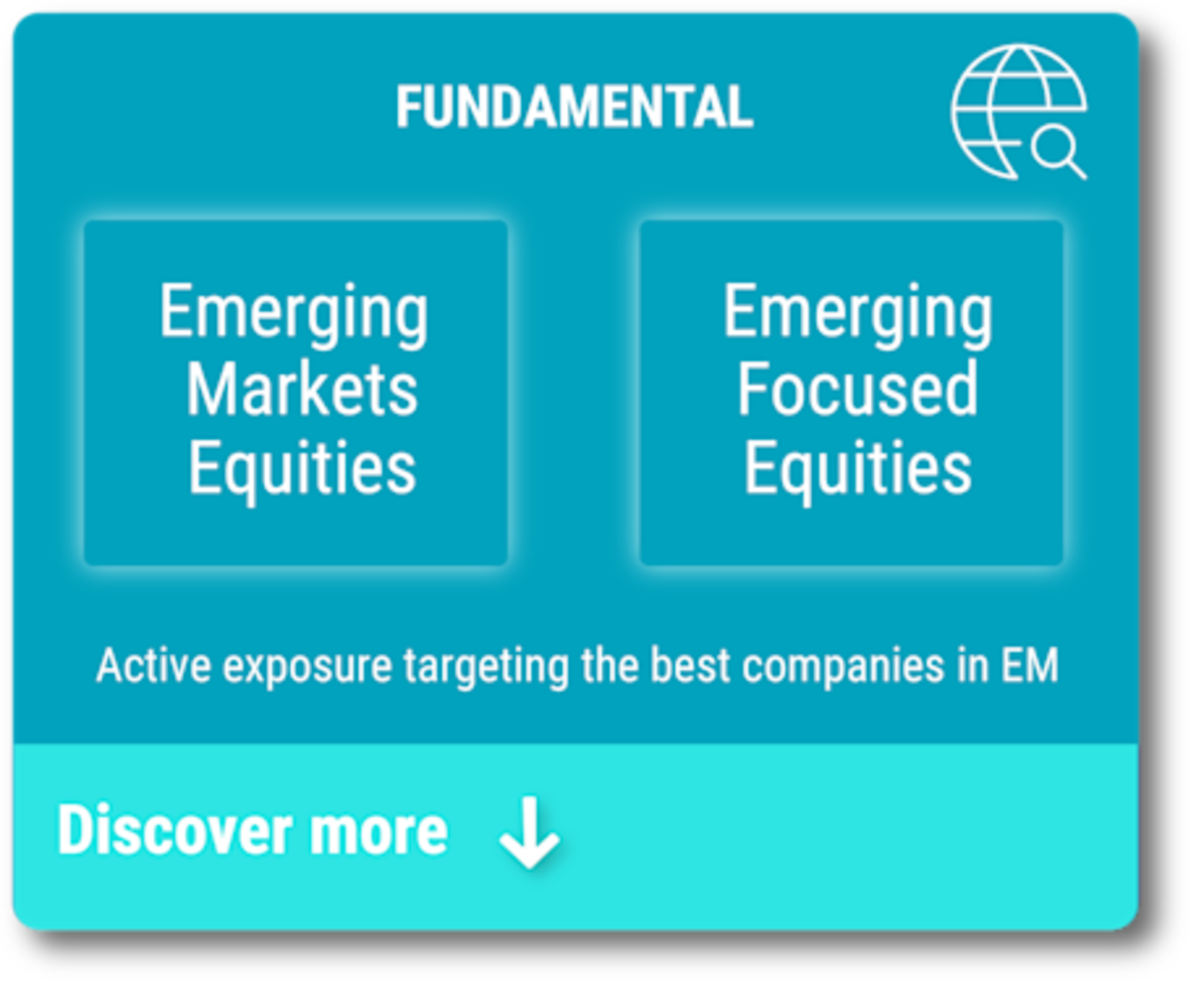 Emerging markets - Fundamental investing