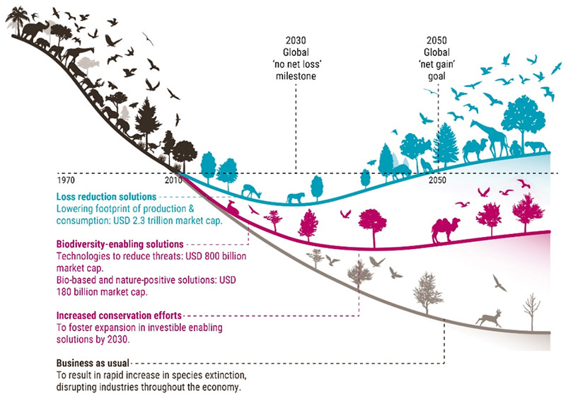 Bending the curve: Investing in biodiversity as an economic necessity ...