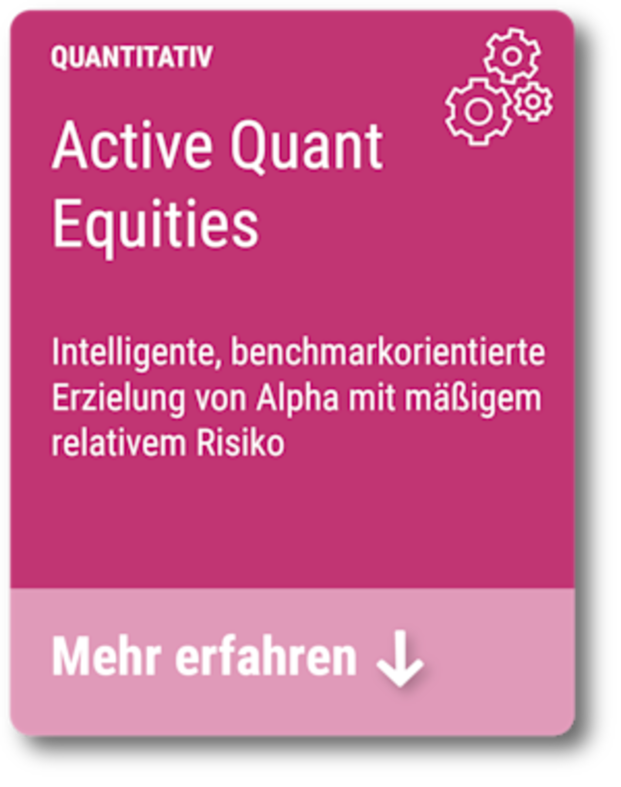 Active Quant Equities
