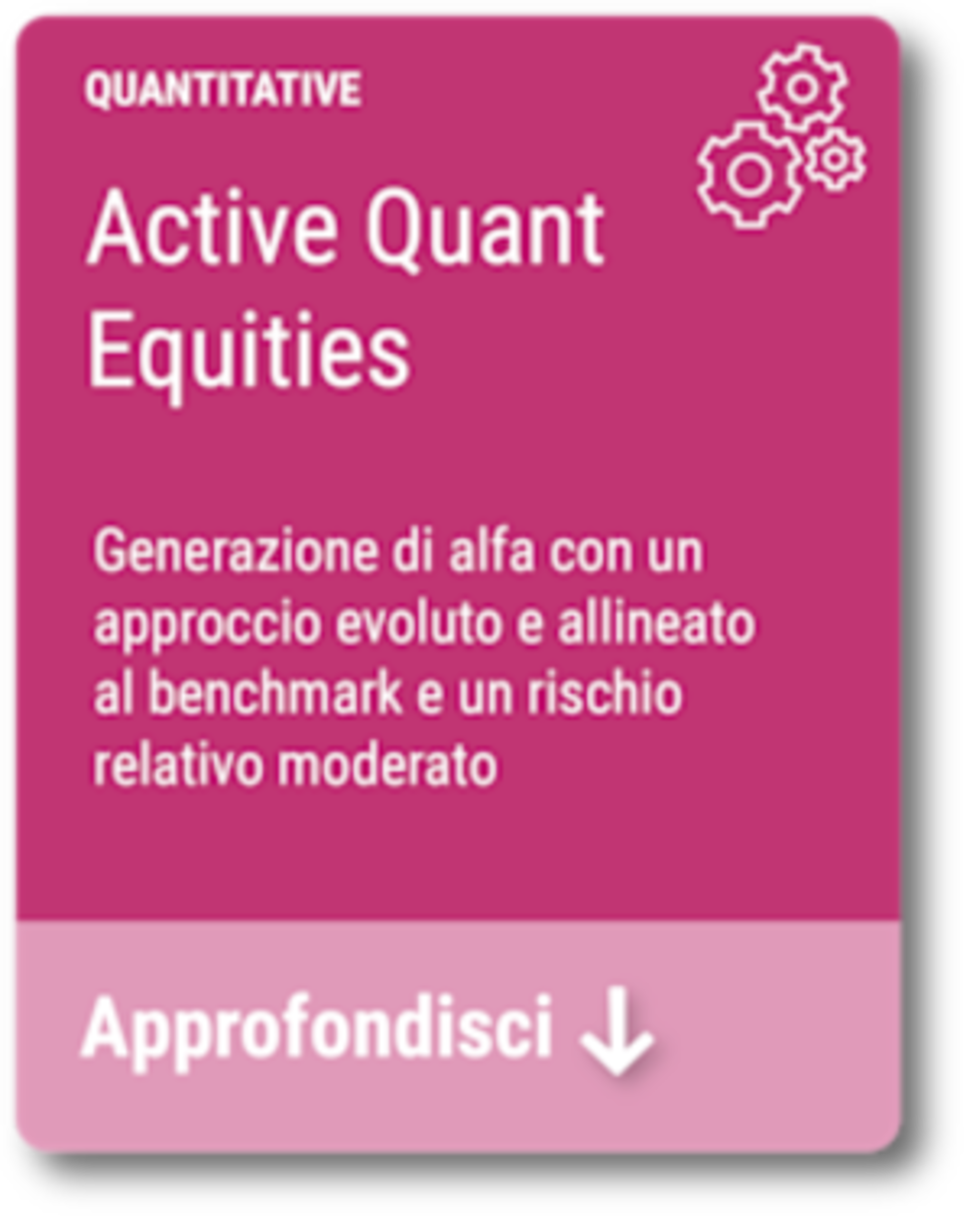 Active Quant Equities