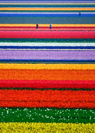 Credit solutions for the climate transition