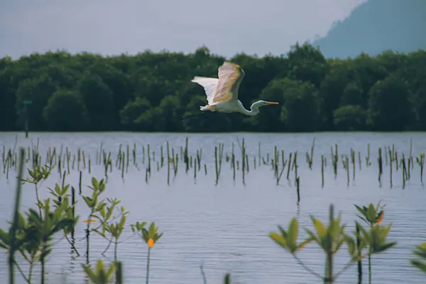 生物多様性