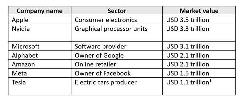 The Magnificent Seven by sector and market value