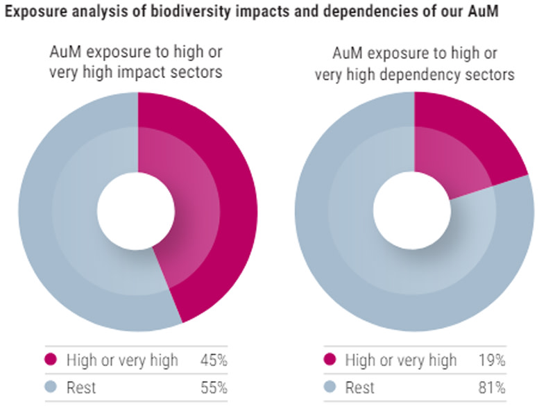 Bending the curve: Investing in biodiversity as an economic necessity ...