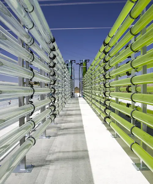 Biomass power