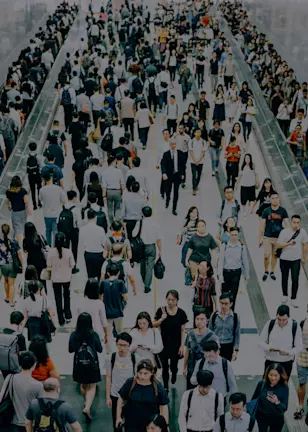 Why emerging markets are back in focus