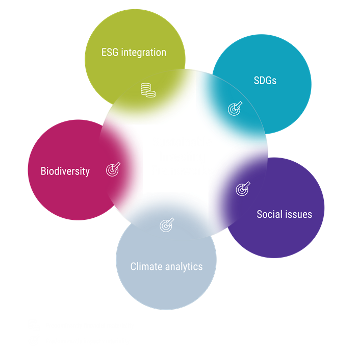 Sustainable Investing Frameworks