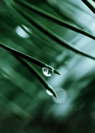 Moving the needle? Six insights into SDG investing