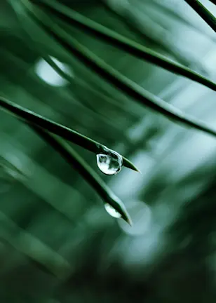 Moving the needle? Six insights into SDG investing