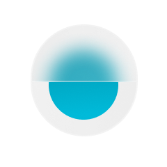 Phase 1: Understand the client