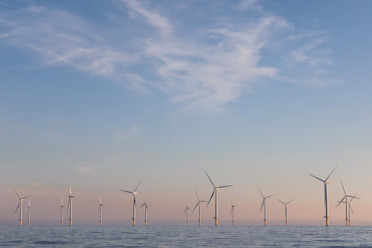 Global Climate Investing Survey 2021 | Robeco Global
