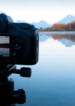 Global Stars Equities