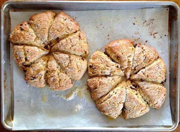Trail Mix Scones
