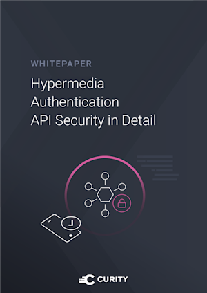 Hypermedia Authentication API Security in Detail